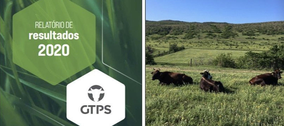 GTPS lança Relatório de Resultados 2020